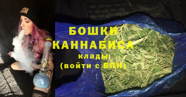винт Осташков