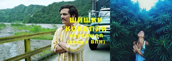 ПСИЛОЦИБИНОВЫЕ ГРИБЫ Осинники