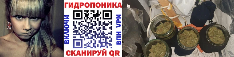 где продают   Стрежевой  Канабис план 
